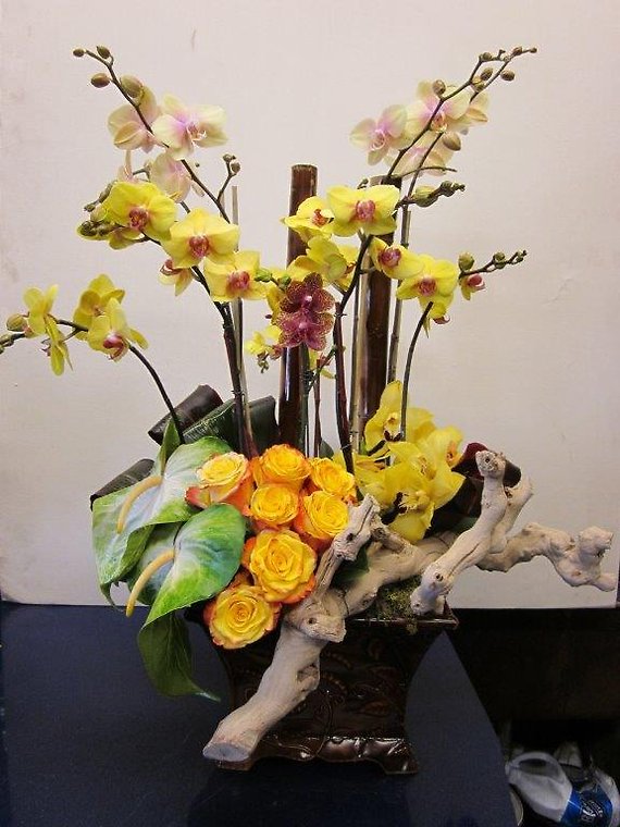 Santa Monica Flowers Unique Orchids