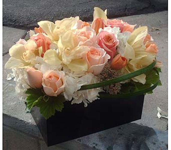 Chic Box
