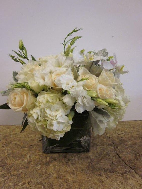 Santa Monica Flowers White Charm