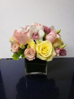 Our Specials Flower Delivery Santa Monica Ca Ann S Flowers Of Santa Monica Santa Monica Ca Our Specials Flowers