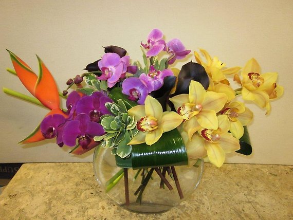 Santa Monica Flowers Pleasing Tropical Blooms