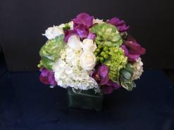 Santa Monica Flowers Purple czanne