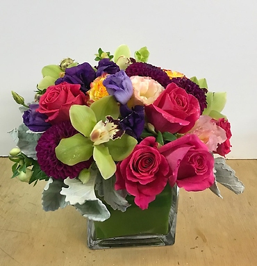 Ann\'s Flowers Shocking Versillia.