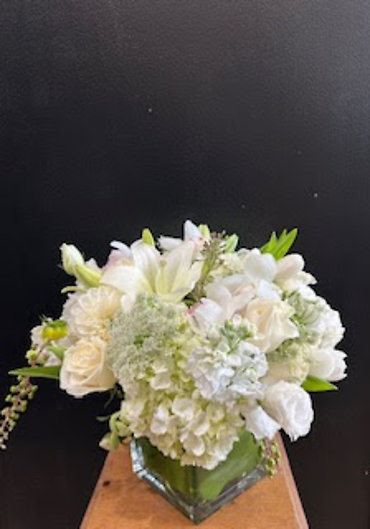 SANTA MONICA FLOWERS G143