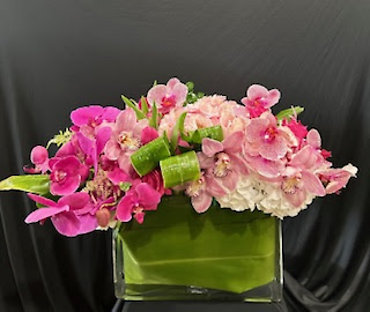 SANTA MONICA FLOWERS G133